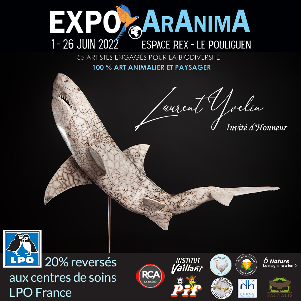 exposition aranima 2022