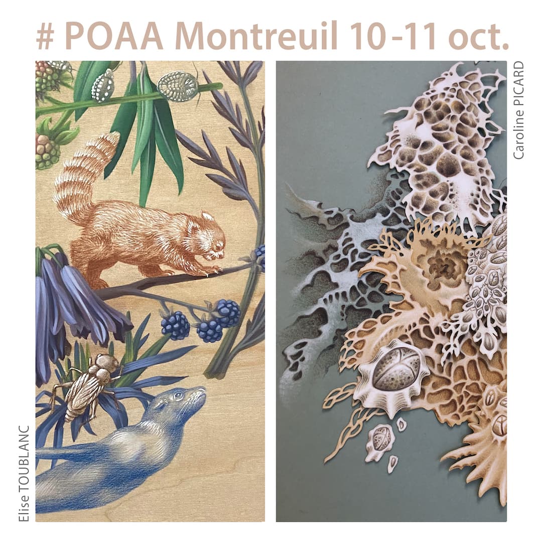 Montreuil-POAA2026-toublanc